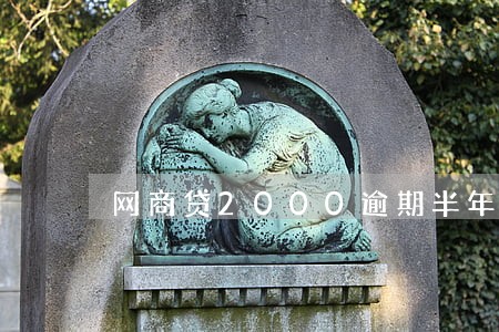 网商贷2000逾期半年 网商贷2000逾期半年