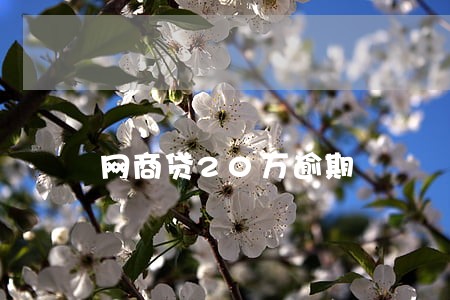 网商贷20万逾期 网商贷20万逾期