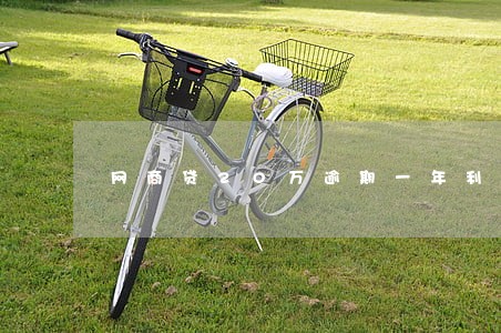 网商贷20万逾期一年利息多少 网商贷20万逾期一年利息多少