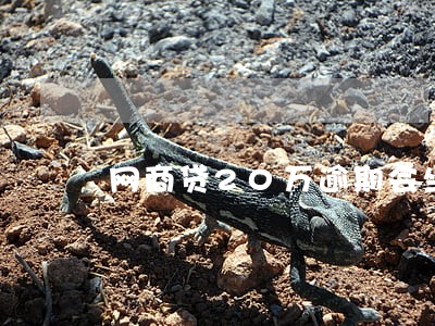 网商贷20万逾期会坐牢吗