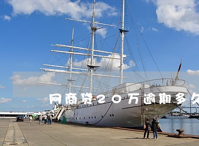 网商贷20万逾期多久会被起诉 网商贷20万逾期多久会被起诉