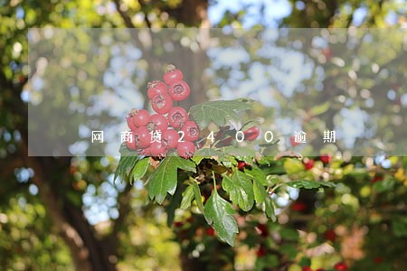 网商贷2400逾期 网商贷2400逾期