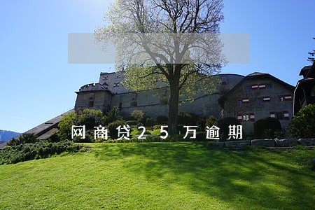 网商贷25万逾期 网商贷25万逾期