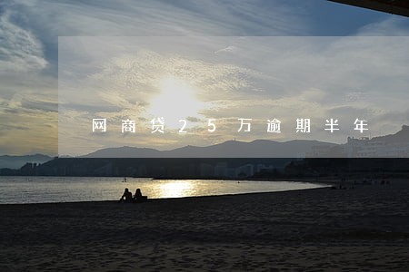 网商贷25万逾期半年 网商贷25万逾期半年