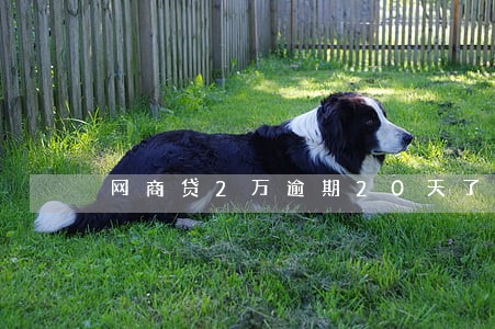 网商贷2万逾期20天了 网商贷2万逾期20天了