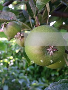 网商贷2万逾期一年亲身经历 网商贷2万逾期一年亲身经历