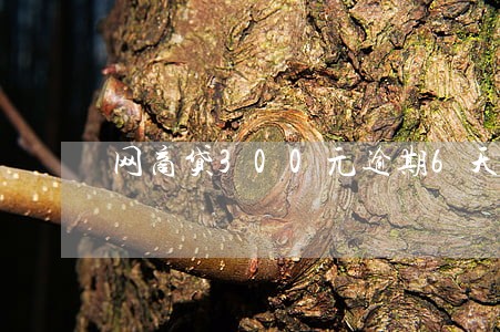 网商贷300元逾期6天