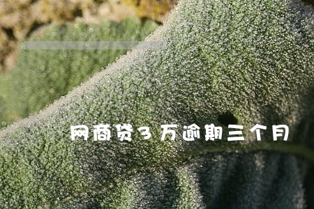 网商贷3万逾期三个月 网商贷3万逾期三个月