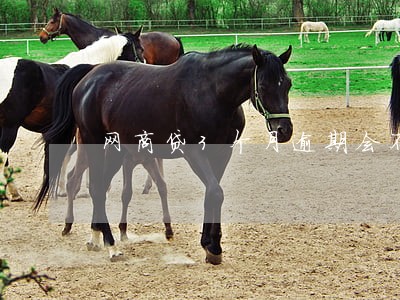 网商贷3个月逾期会不会黑户 网商贷3个月逾期会不会黑户