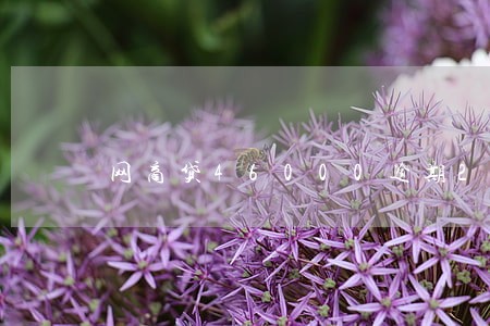 网商贷46000逾期2年 网商贷46000逾期2年
