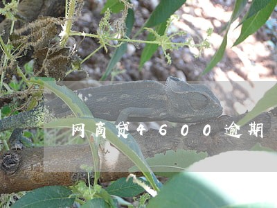 网商贷4600逾期 网商贷4600逾期