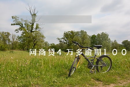 网商贷4万多逾期100天 网商贷4万多逾期100天