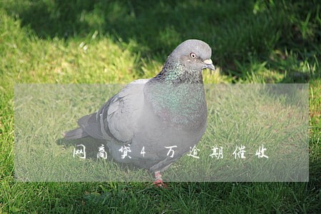 网商贷4万逾期催收 网商贷4万逾期催收