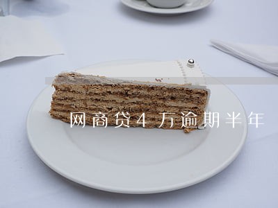 网商贷4万逾期半年 网商贷4万逾期半年