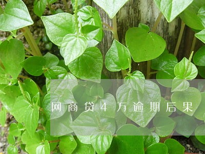 网商贷4万逾期后果 网商贷4万逾期后果