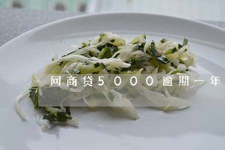 网商贷5000逾期一年还不上 网商贷5000逾期一年还不上