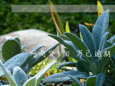 网商贷50万已逾期 网商贷50万已逾期