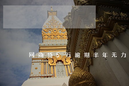 网商贷5万逾期半年无力偿还 网商贷5万逾期半年无力偿还