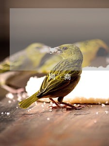 网商贷5万逾期怎么办 网商贷5万逾期怎么办