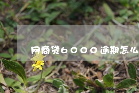 网商贷6000逾期怎么办 网商贷6000逾期怎么办