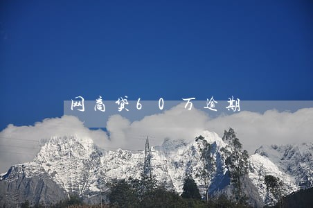 网商贷60万逾期 网商贷60万逾期