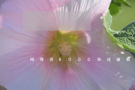 网商贷8000块钱逾期一天 网商贷8000块钱逾期一天
