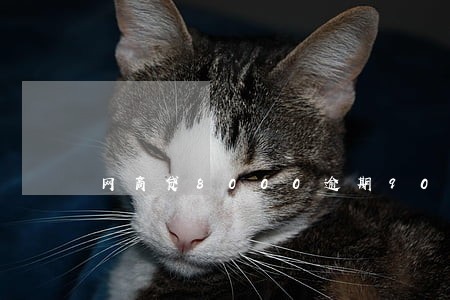 网商贷8000逾期90天了 网商贷8000逾期90天了