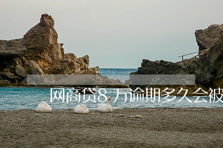 网商贷8万逾期多久会被起诉