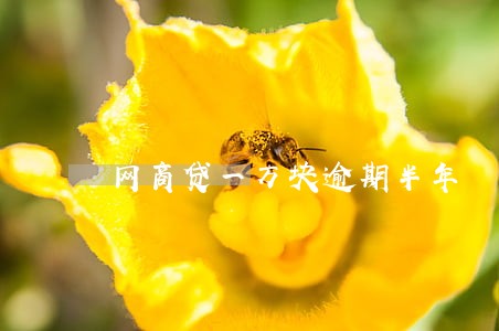 网商贷一万块逾期半年 网商贷一万块逾期半年