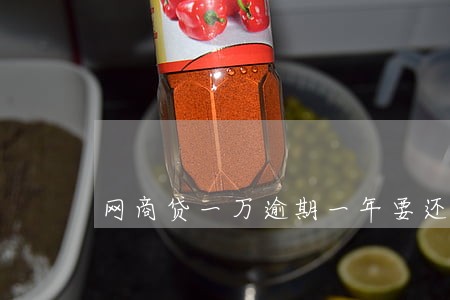网商贷一万逾期一年要还多少 网商贷一万逾期一年要还多少