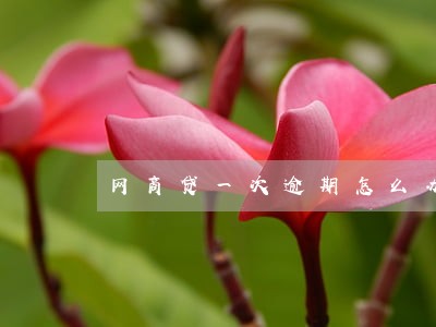 网商贷一次逾期怎么办 网商贷一次逾期怎么办