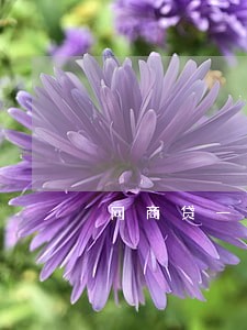 网商贷一般逾期多久会实地走访