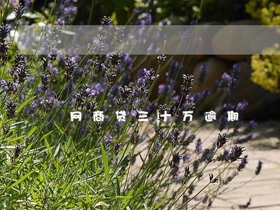 网商贷三十万逾期 网商贷三十万逾期
