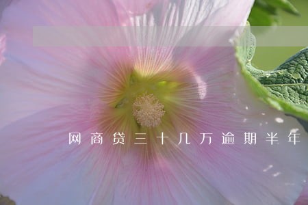 网商贷三十几万逾期半年 网商贷三十几万逾期半年