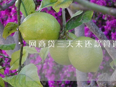网商贷三天未还款算逾期么 网商贷三天未还款算逾期么