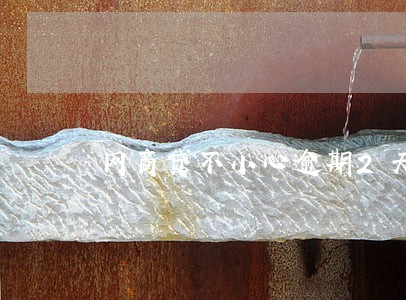 网商贷不小心逾期2天怎么办 网商贷不小心逾期2天怎么办