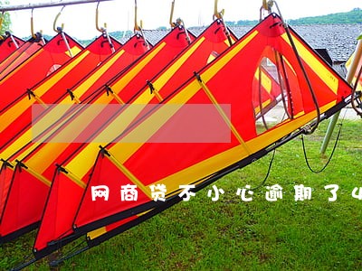 网商贷不小心逾期了4天 网商贷不小心逾期了4天