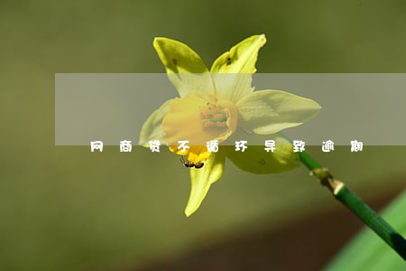网商贷不循环导致逾期 网商贷不循环导致逾期