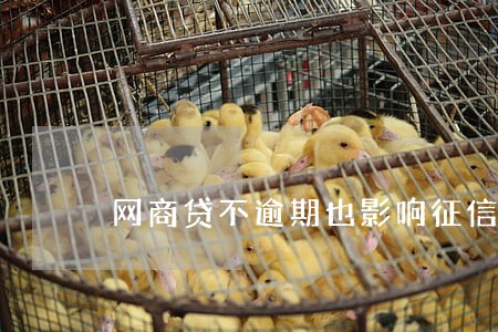 网商贷不逾期也影响征信吗 网商贷不逾期也影响征信吗