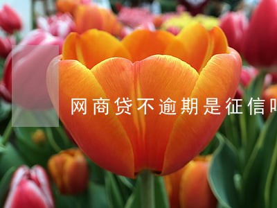 网商贷不逾期是征信吗 网商贷不逾期是征信吗