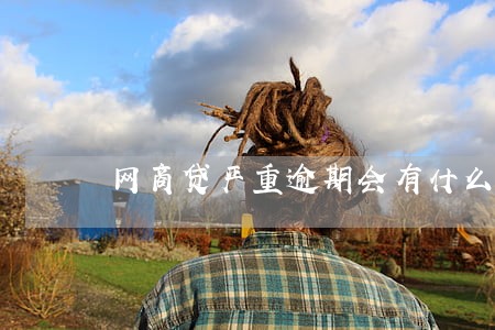 网商贷严重逾期会有什么后果 网商贷严重逾期会有什么后果