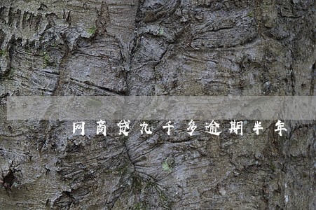 网商贷九千多逾期半年 网商贷九千多逾期半年