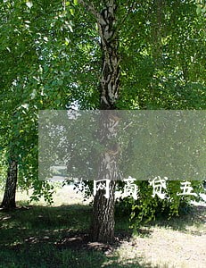 网商贷五万逾期2年亲身经历 网商贷五万逾期2年亲身经历