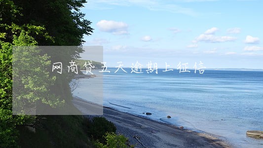 网商贷五天逾期上征信 网商贷五天逾期上征信