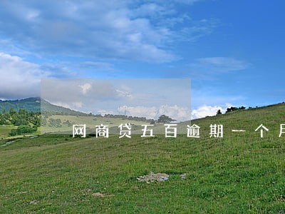 网商贷五百逾期一个月 网商贷五百逾期一个月