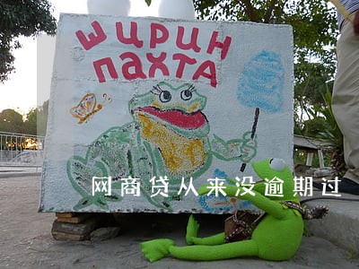 网商贷从来没逾期过 网商贷从来没逾期过
