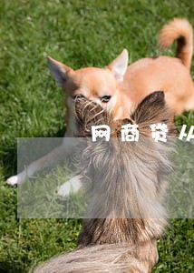 网商贷从没逾期却被降额 网商贷从没逾期却被降额