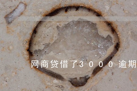 网商贷借了3000逾期两年 网商贷借了3000逾期两年