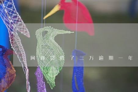 网商贷借了三万逾期一年多了