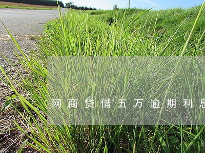 网商贷借五万逾期利息能有多高
